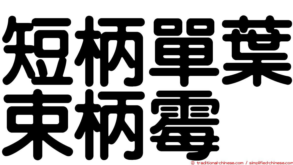 短柄單葉束柄霉