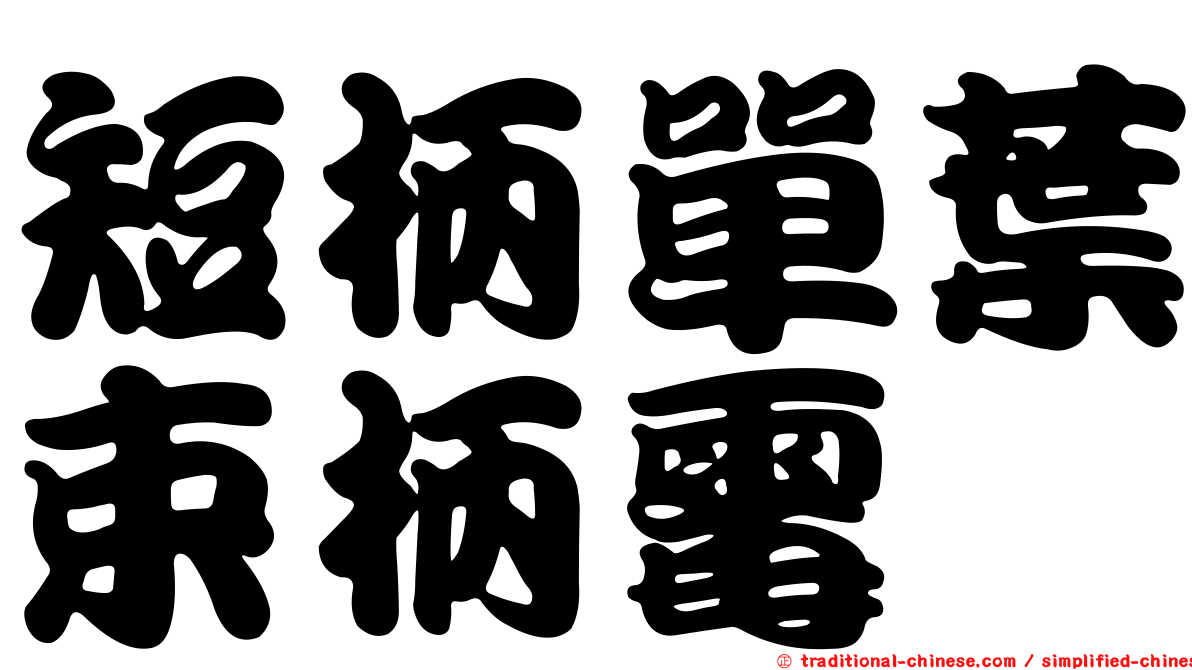 短柄單葉束柄霉
