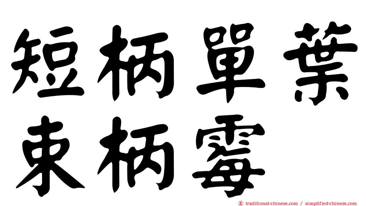 短柄單葉束柄霉