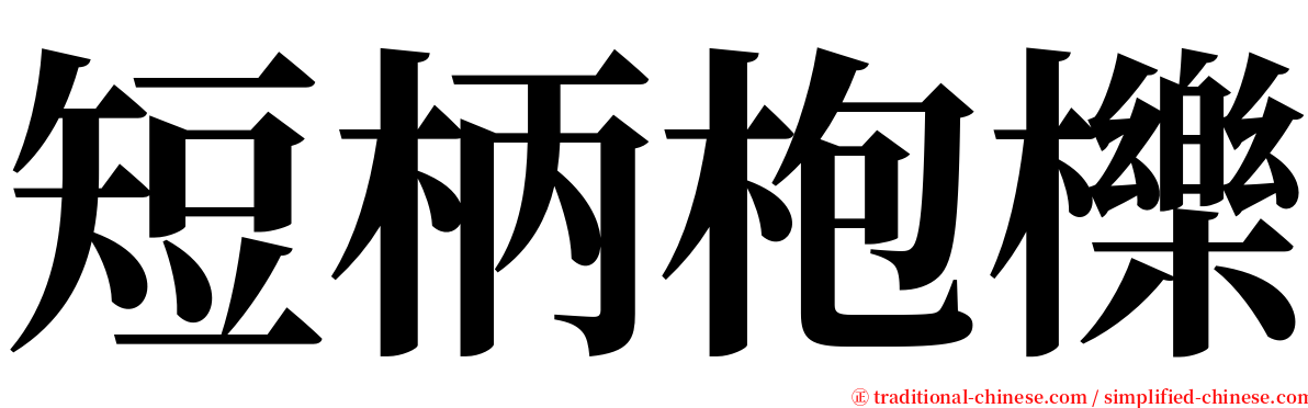 短柄枹櫟 serif font