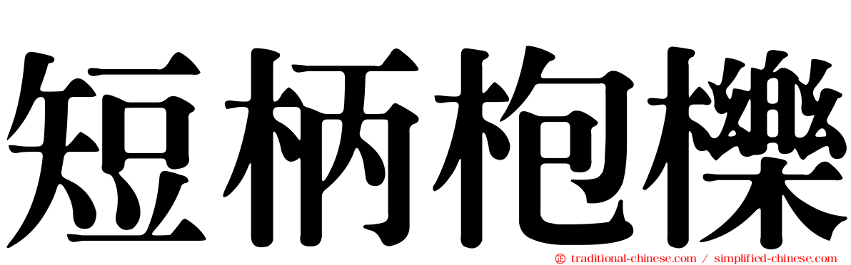 短柄枹櫟