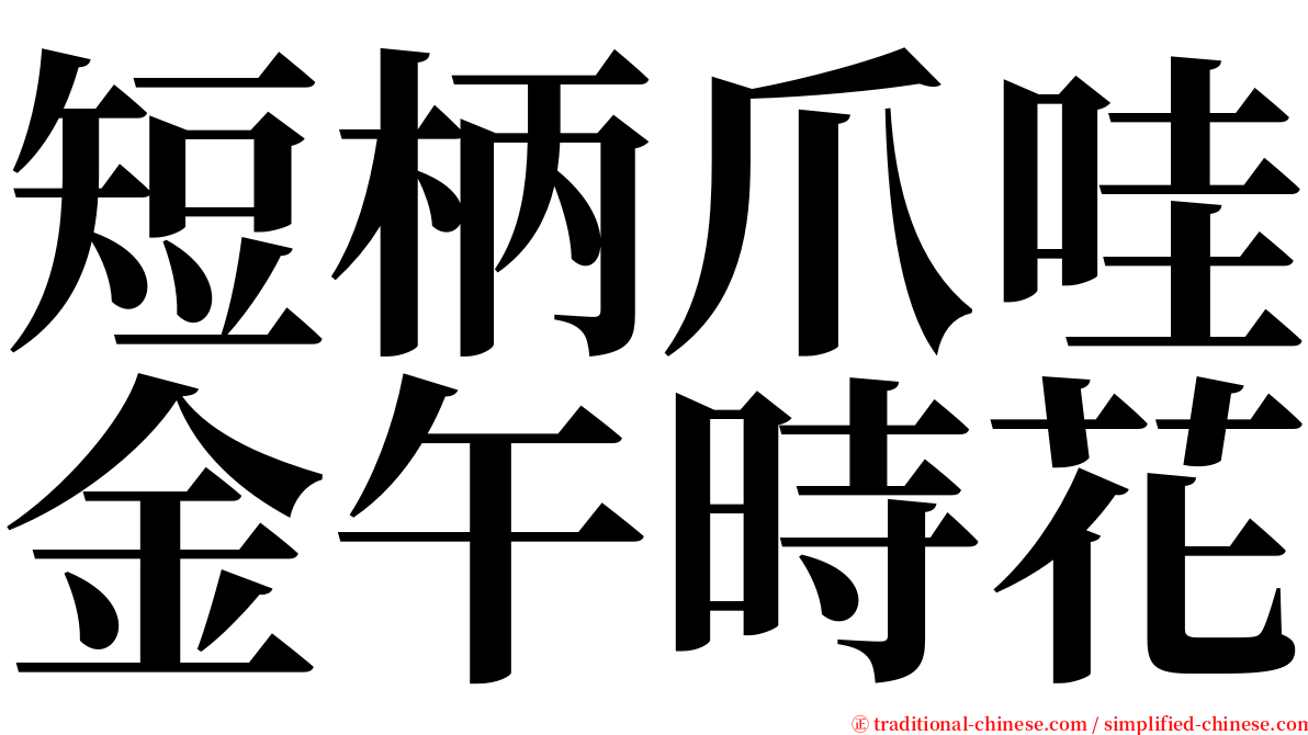 短柄爪哇金午時花 serif font