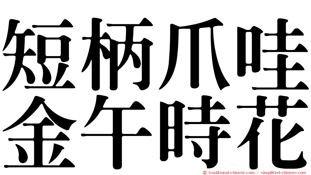 短柄爪哇金午時花