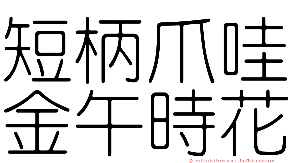 短柄爪哇金午時花