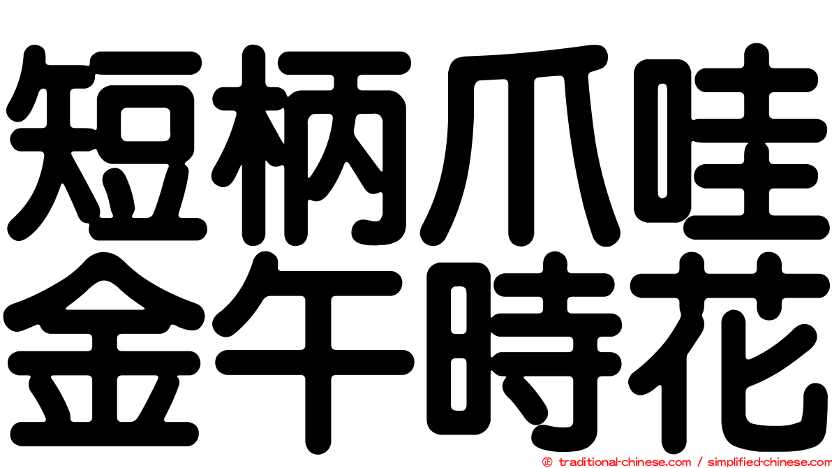 短柄爪哇金午時花
