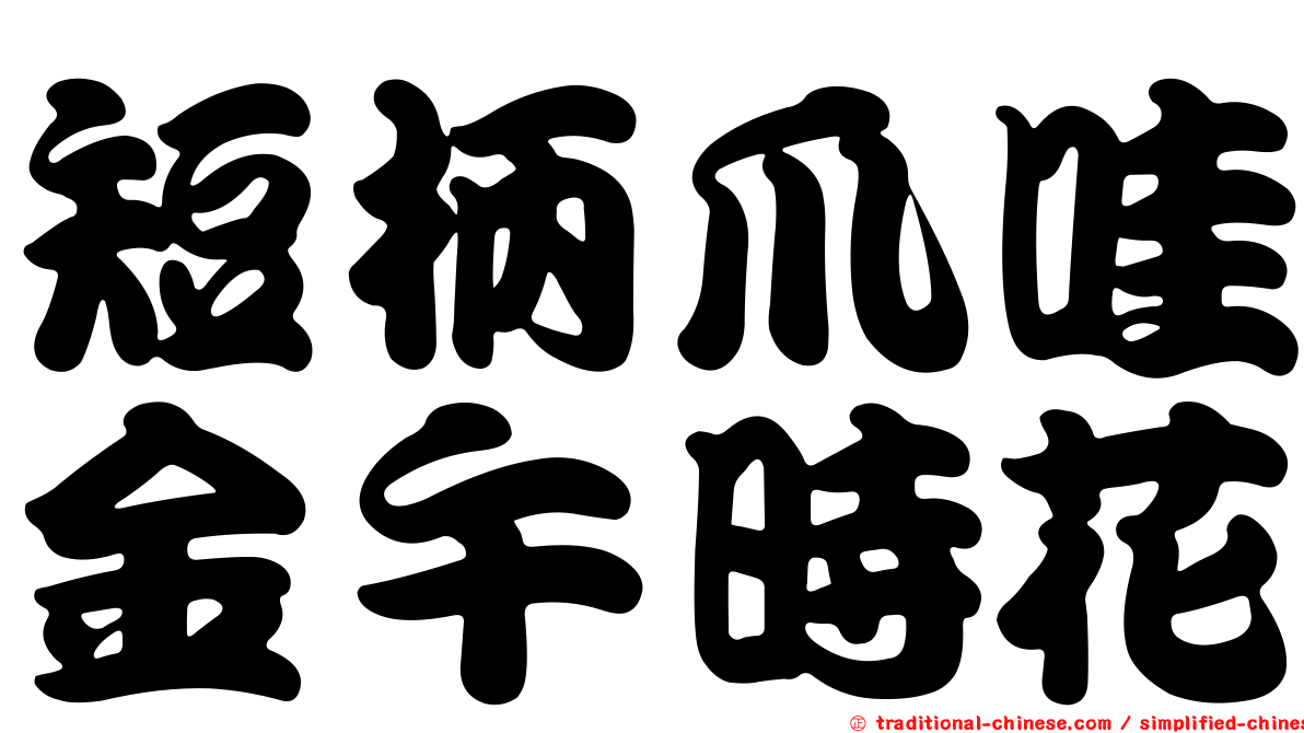 短柄爪哇金午時花