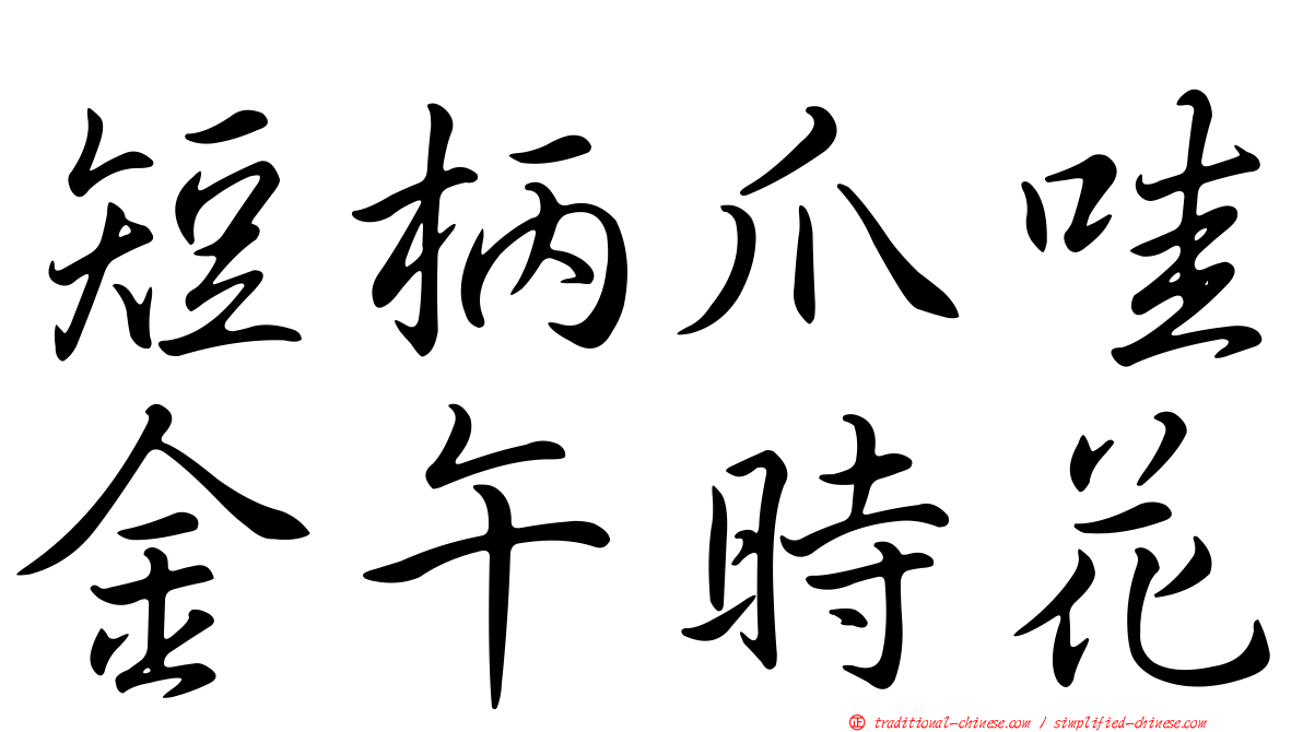 短柄爪哇金午時花
