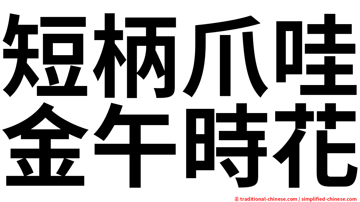短柄爪哇金午時花