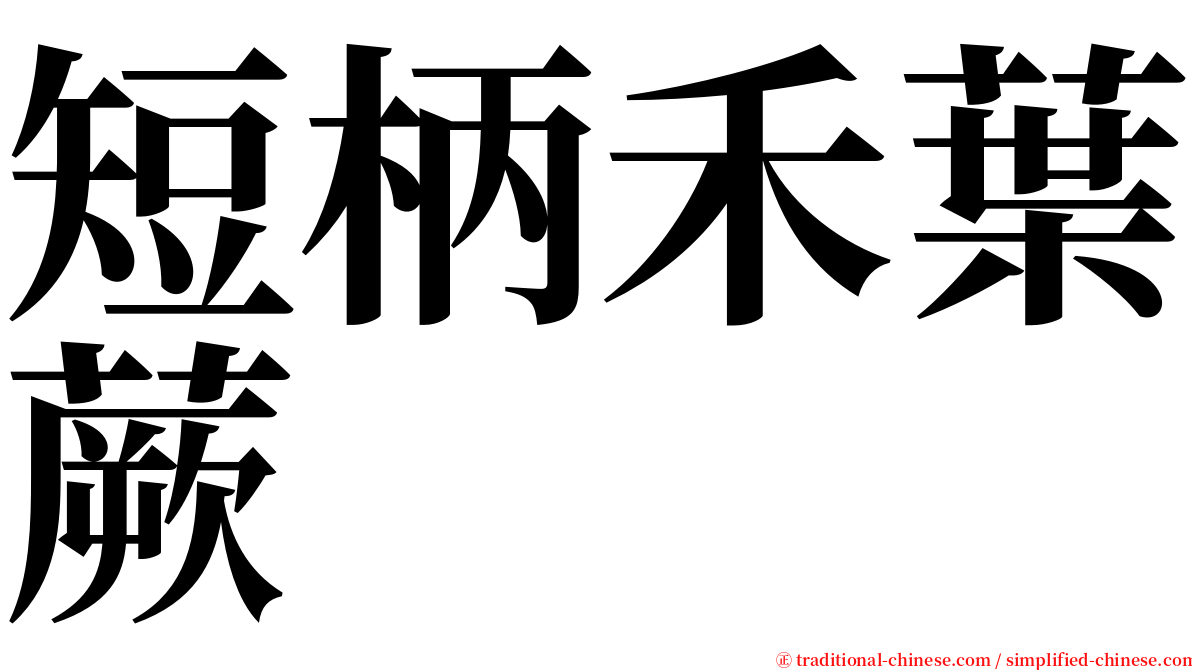 短柄禾葉蕨 serif font