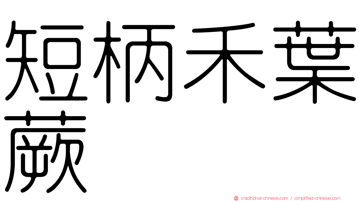 短柄禾葉蕨