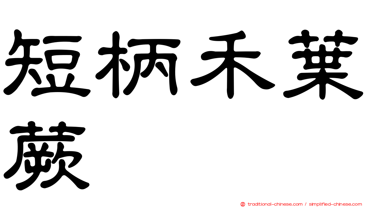 短柄禾葉蕨
