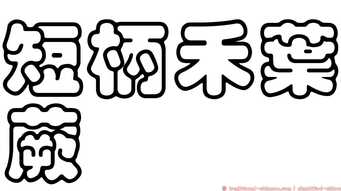 短柄禾葉蕨