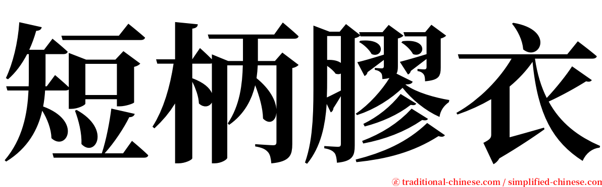短柄膠衣 serif font