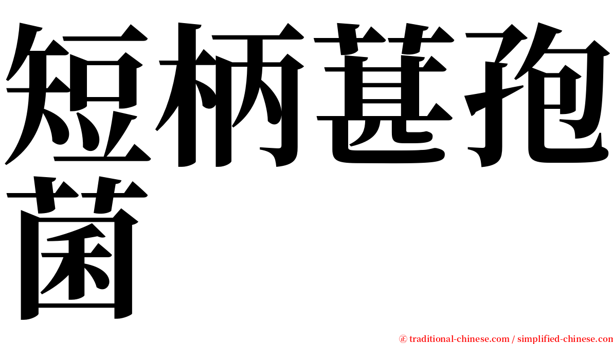 短柄葚孢菌 serif font