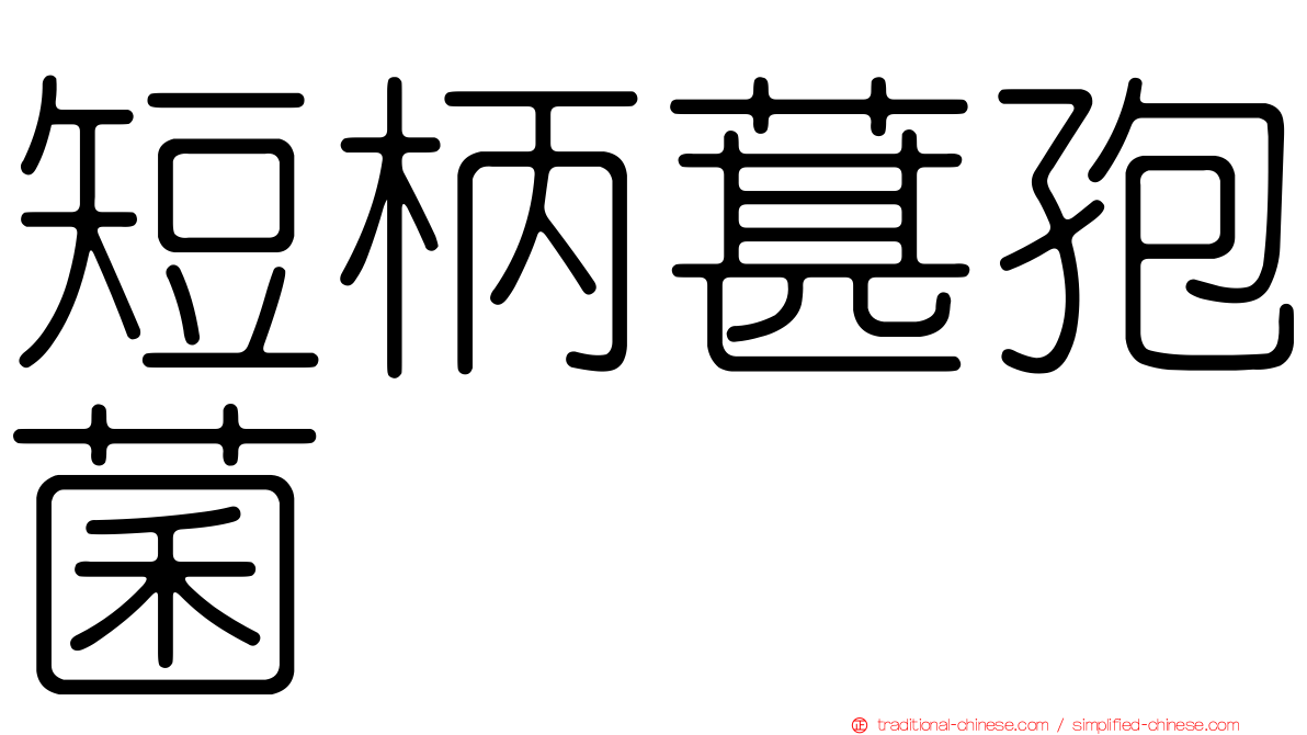 短柄葚孢菌