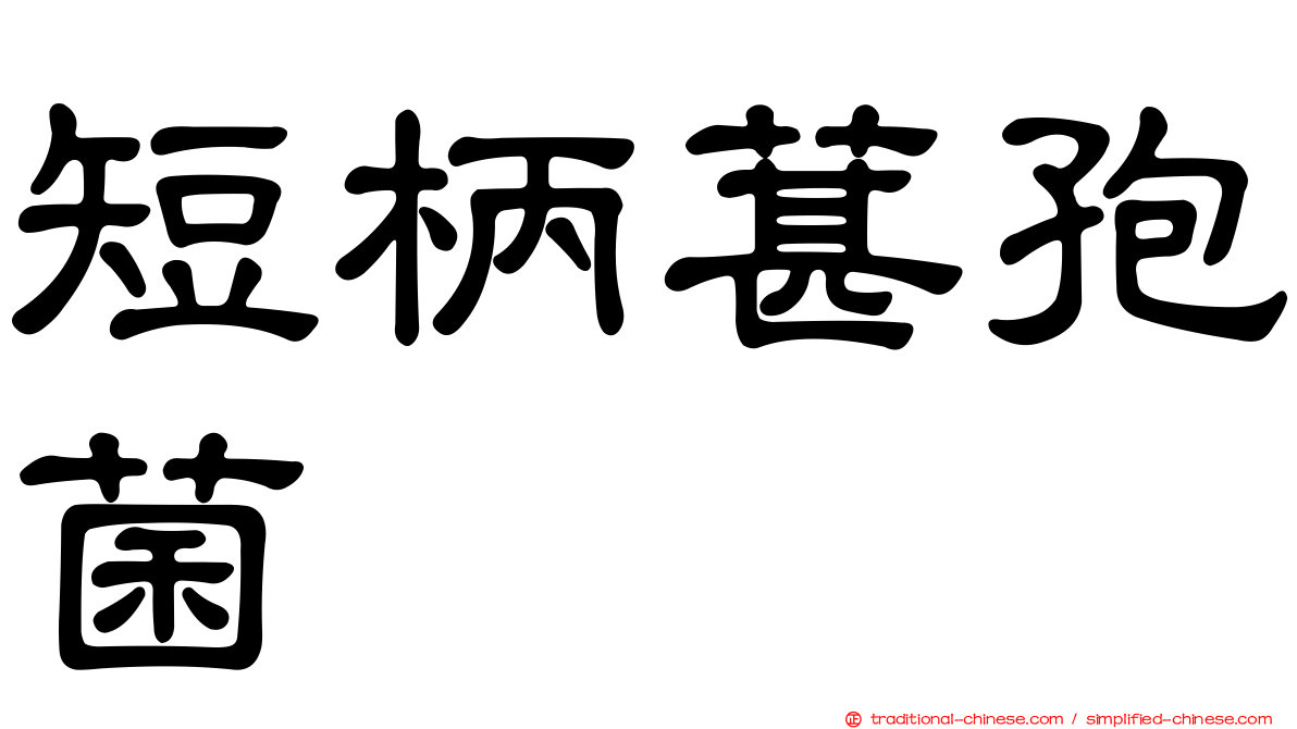 短柄葚孢菌