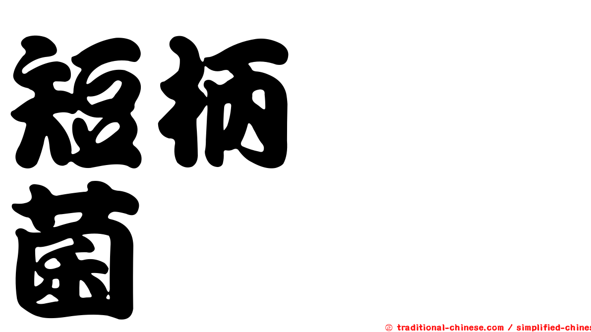 短柄葚孢菌