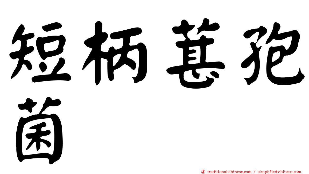 短柄葚孢菌