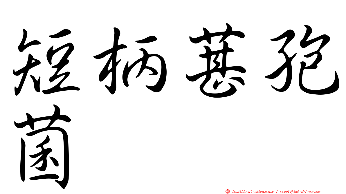 短柄葚孢菌