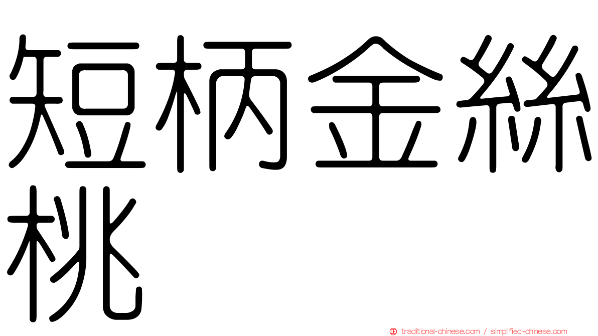 短柄金絲桃