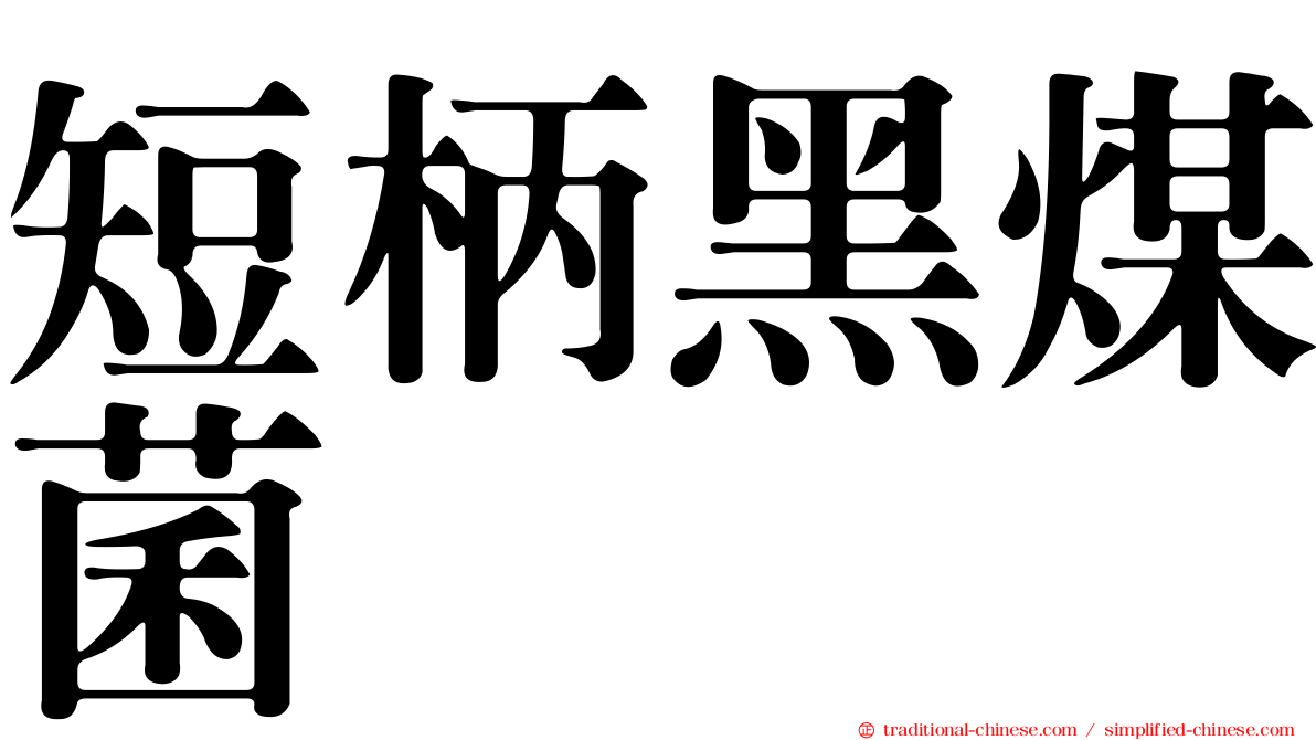 短柄黑煤菌