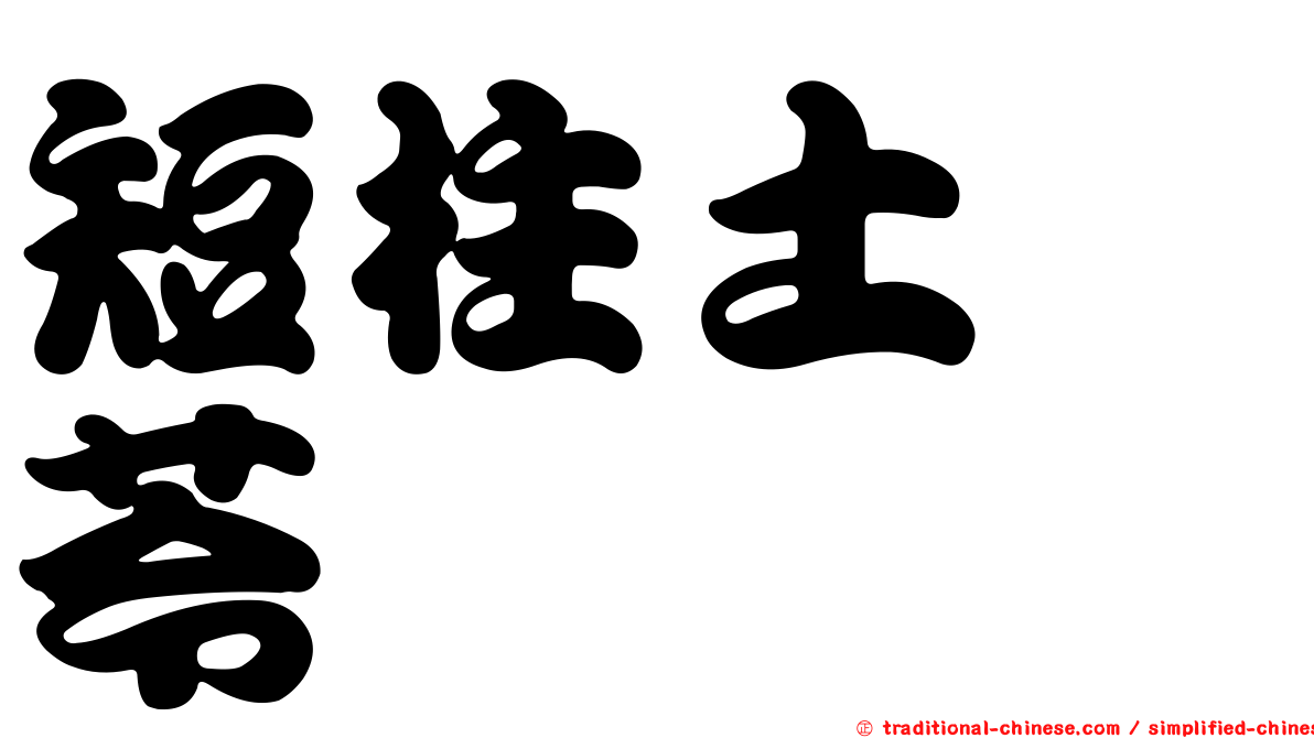 短柱土茯苓