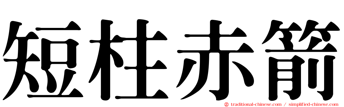 短柱赤箭