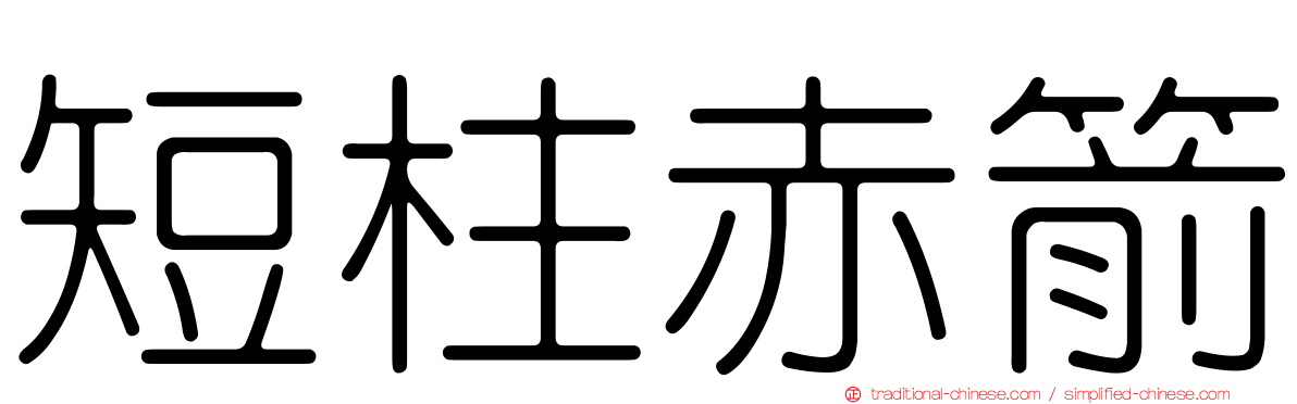 短柱赤箭