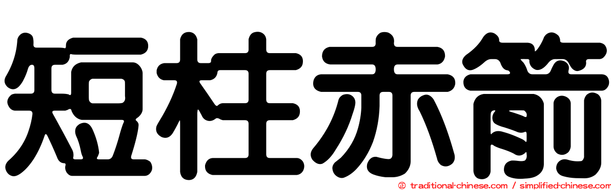 短柱赤箭