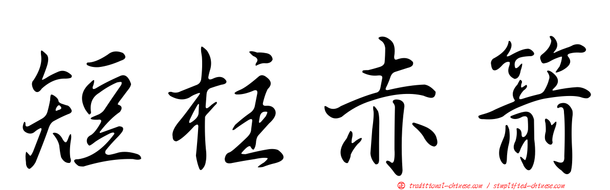 短柱赤箭