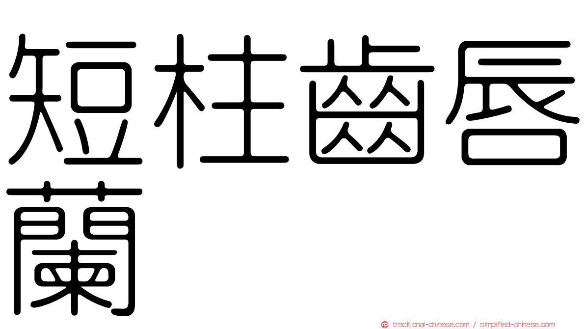 短柱齒唇蘭