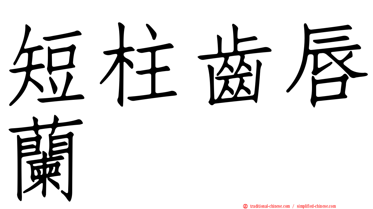 短柱齒唇蘭