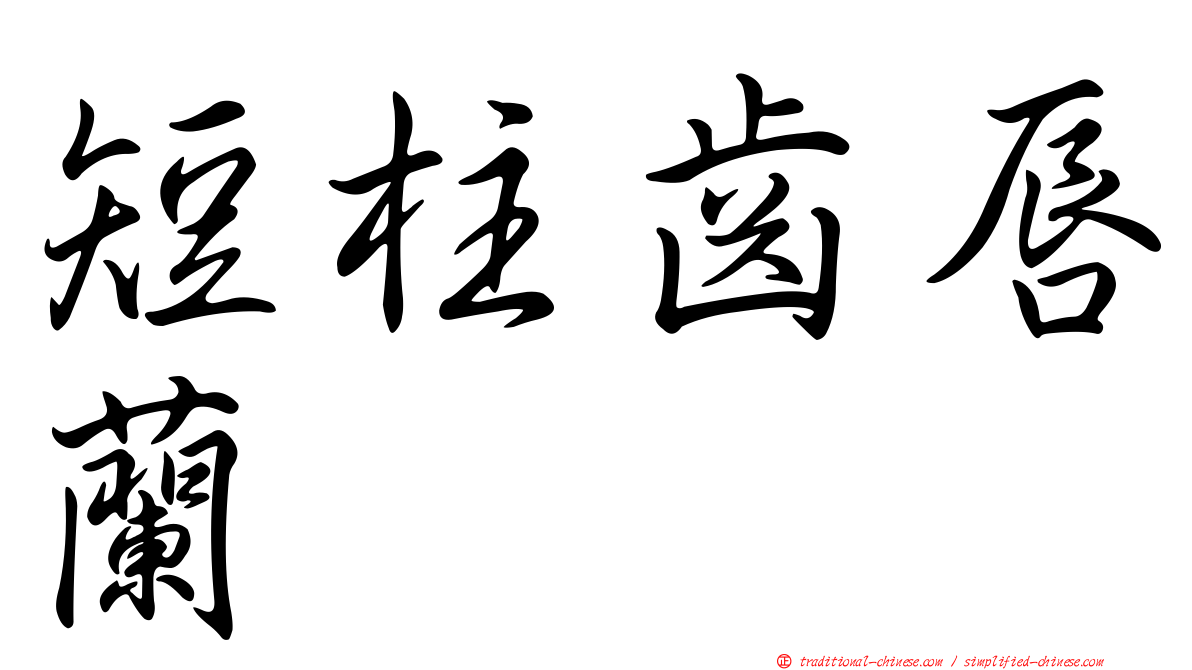 短柱齒唇蘭