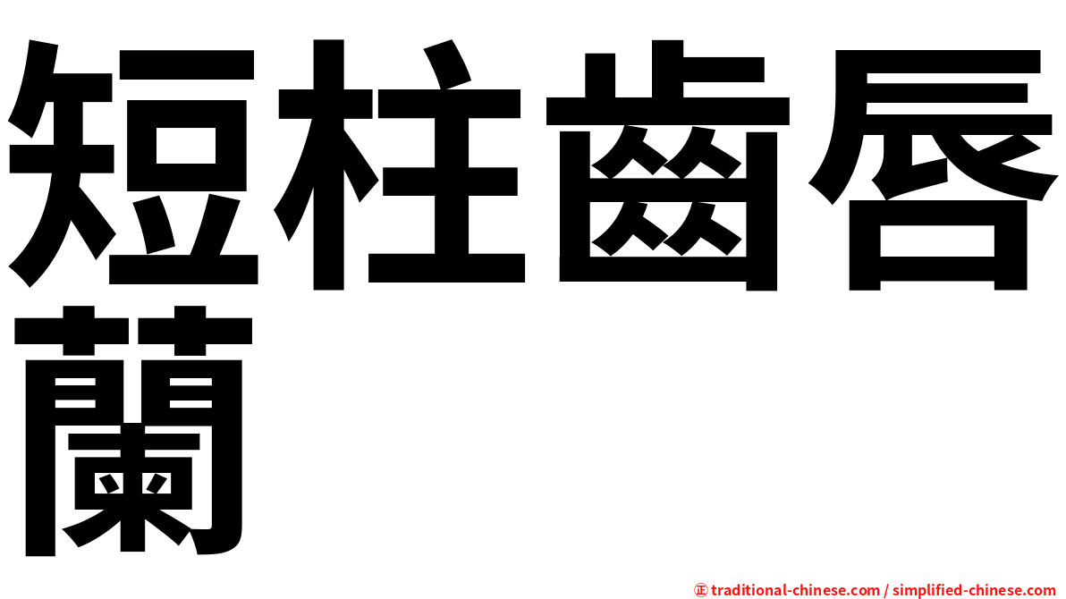 短柱齒唇蘭