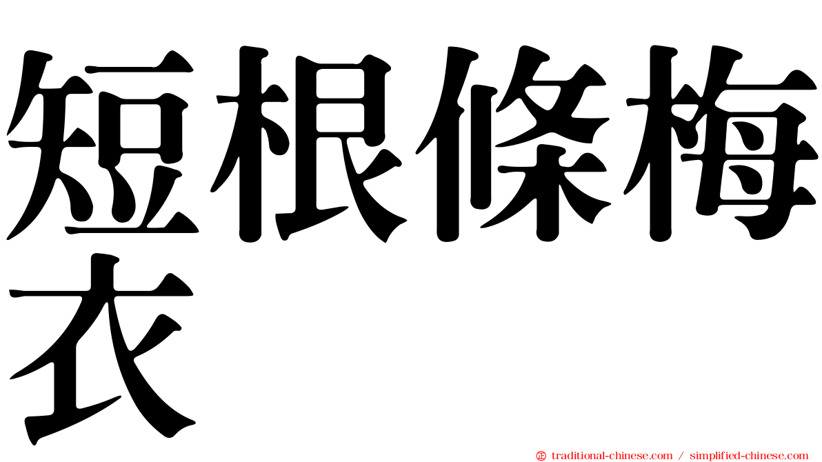 短根條梅衣