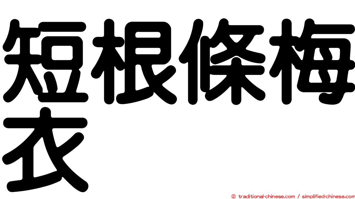 短根條梅衣
