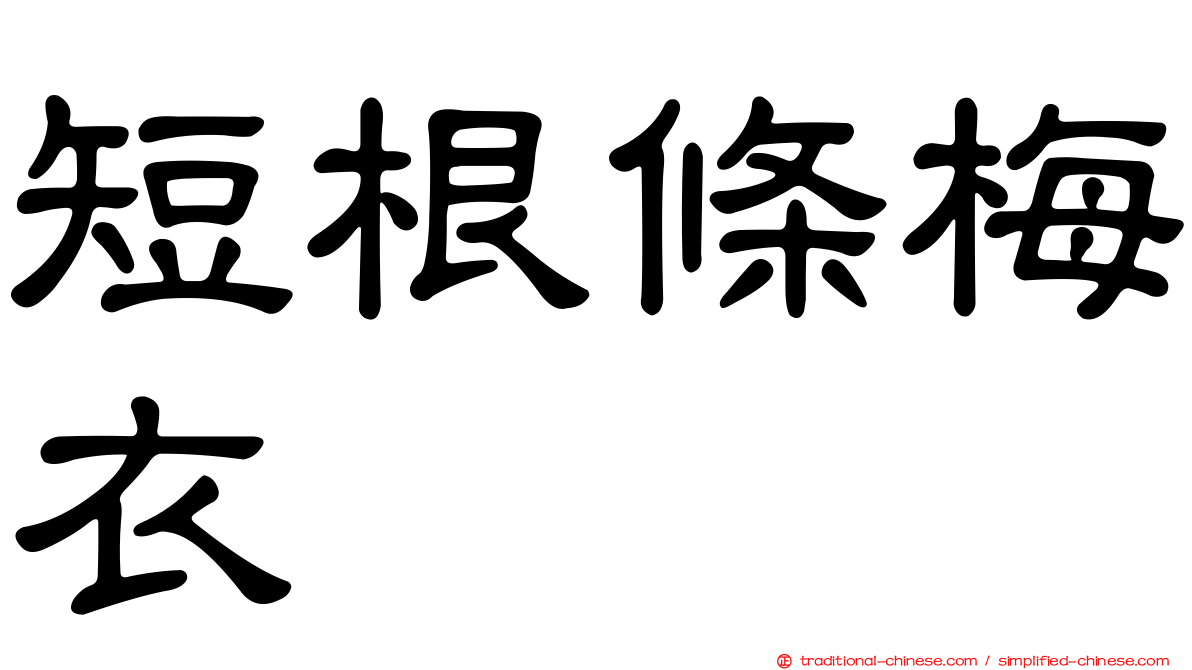 短根條梅衣