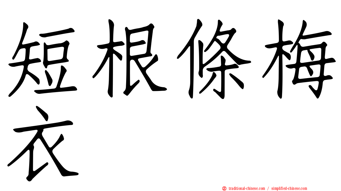 短根條梅衣