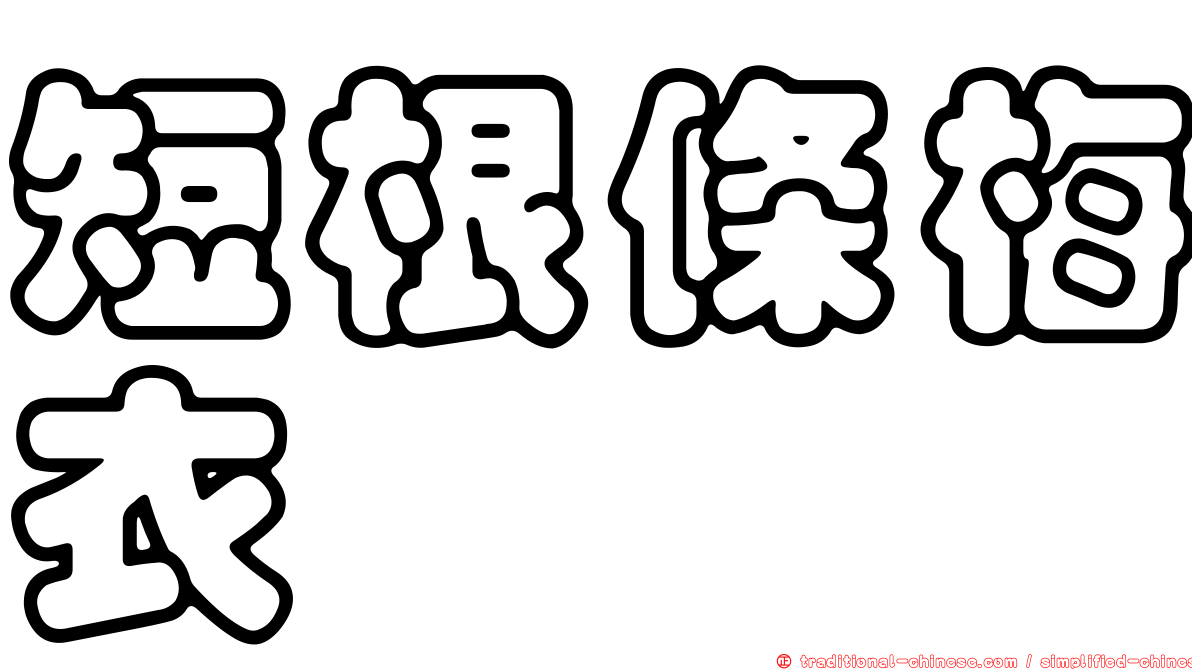 短根條梅衣