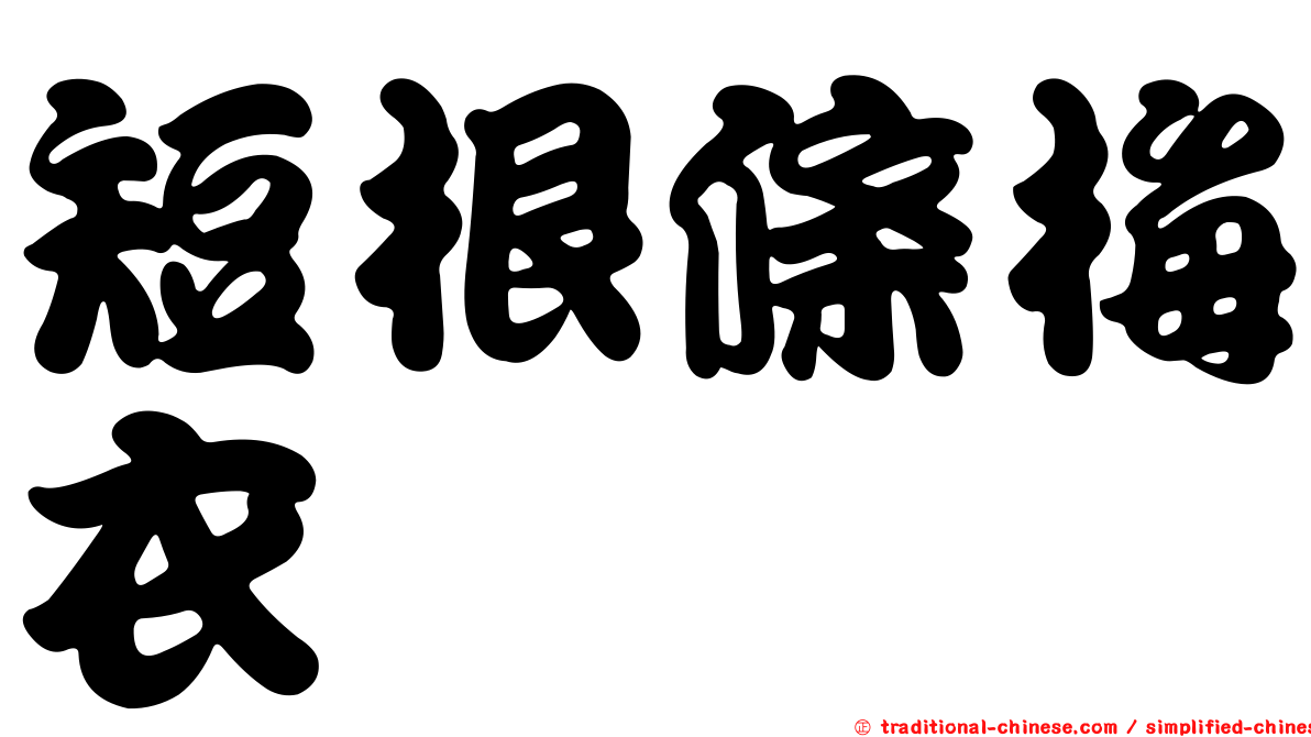 短根條梅衣