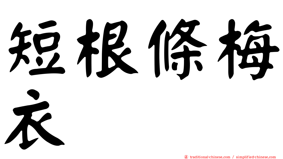 短根條梅衣