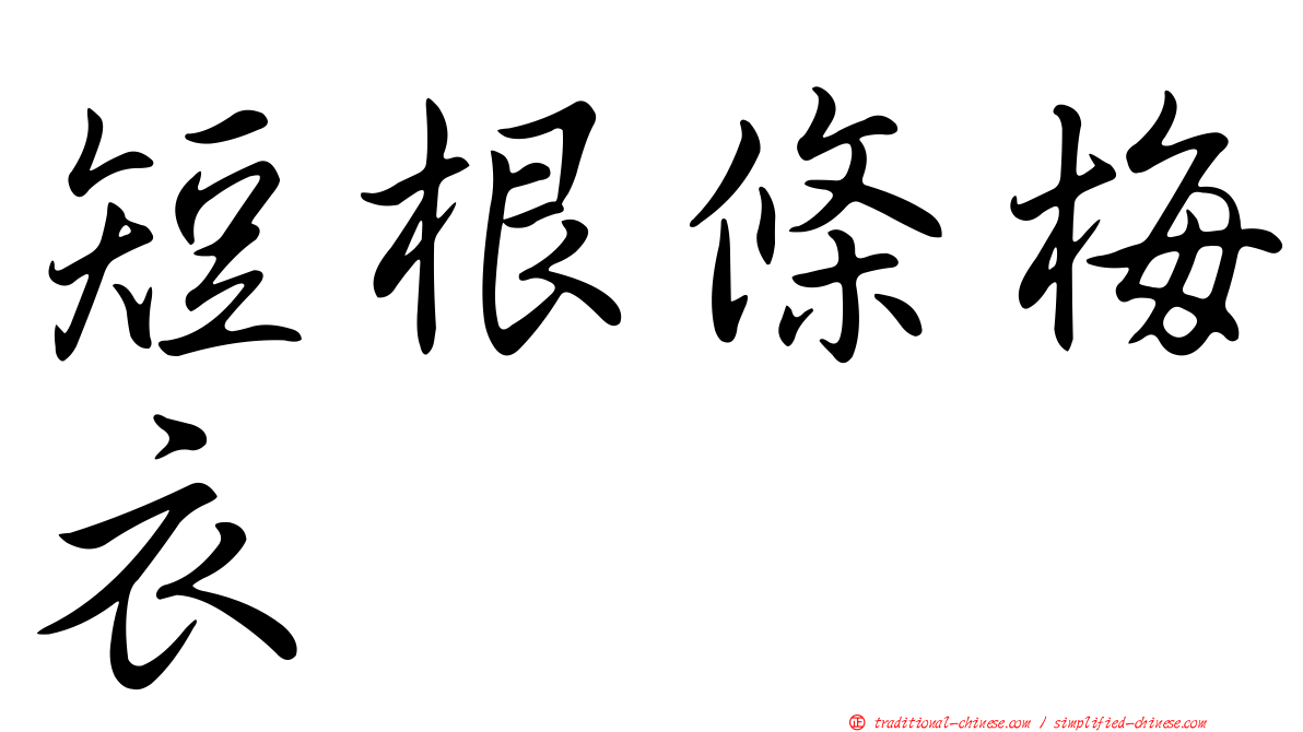 短根條梅衣
