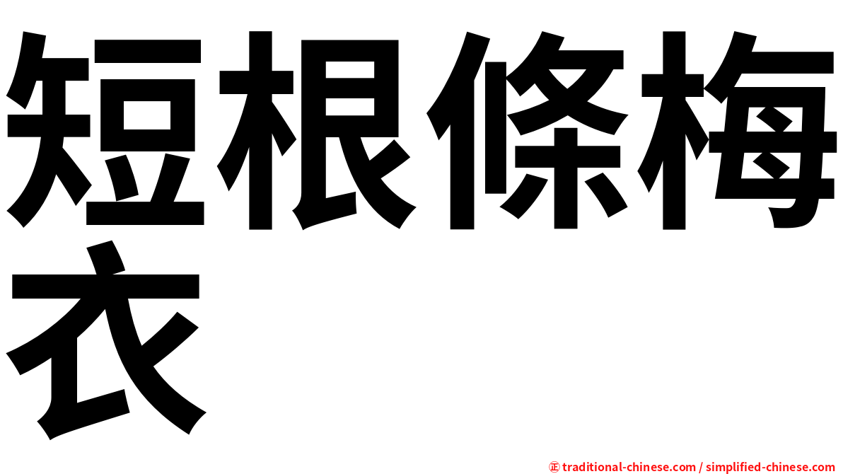 短根條梅衣