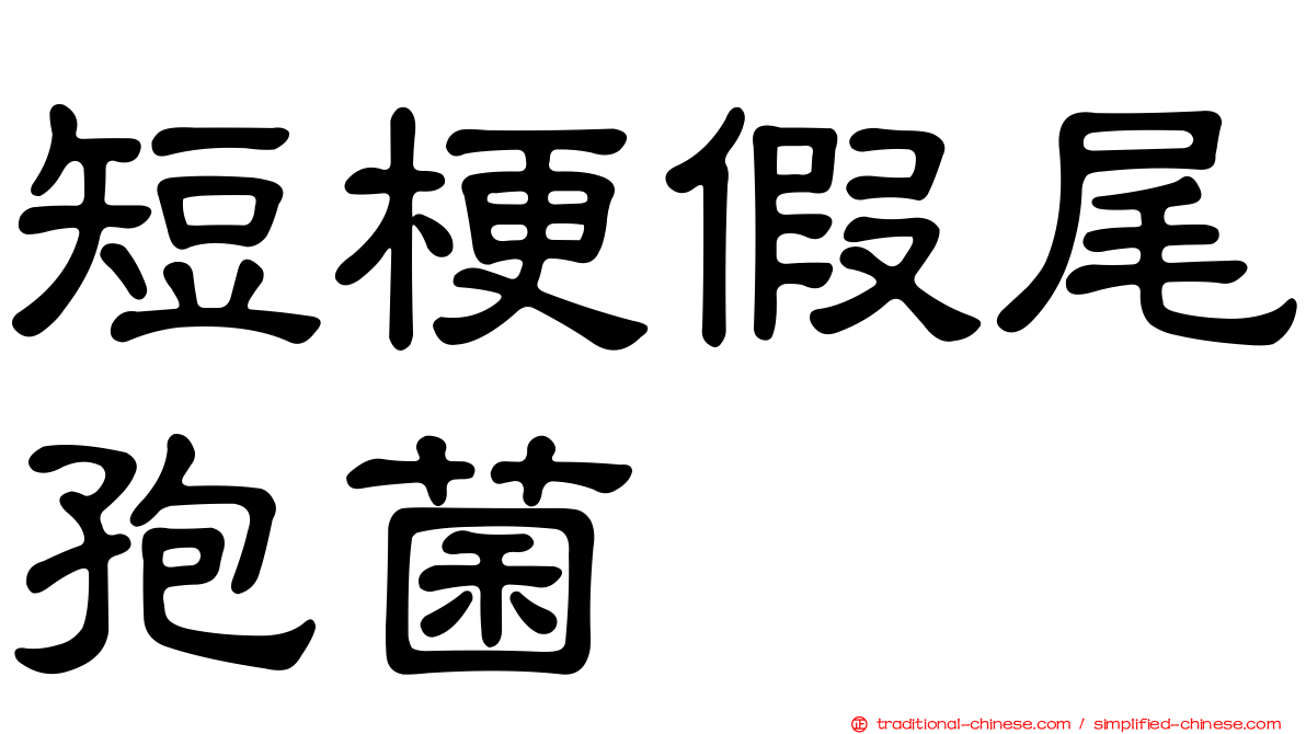短梗假尾孢菌