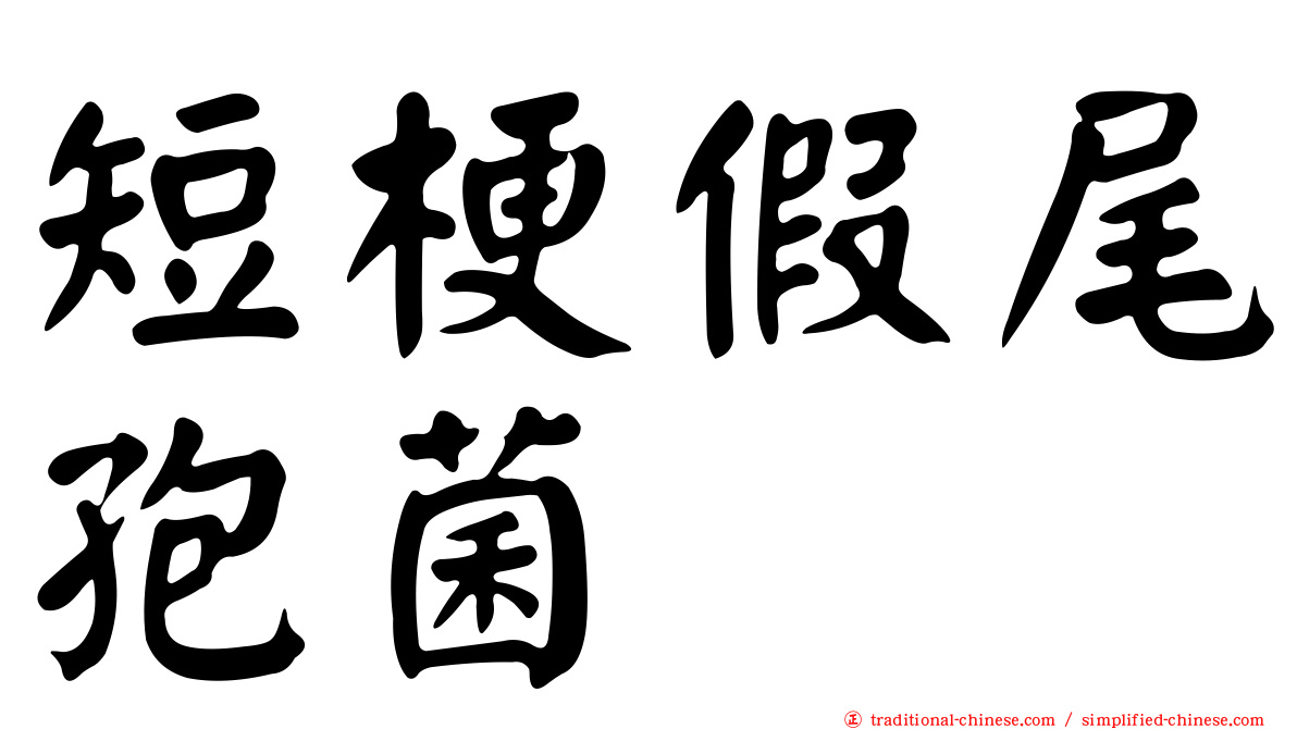 短梗假尾孢菌