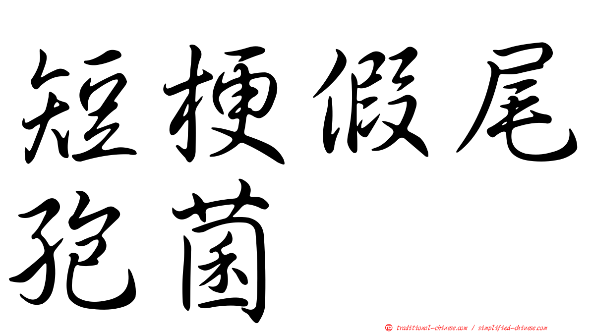 短梗假尾孢菌