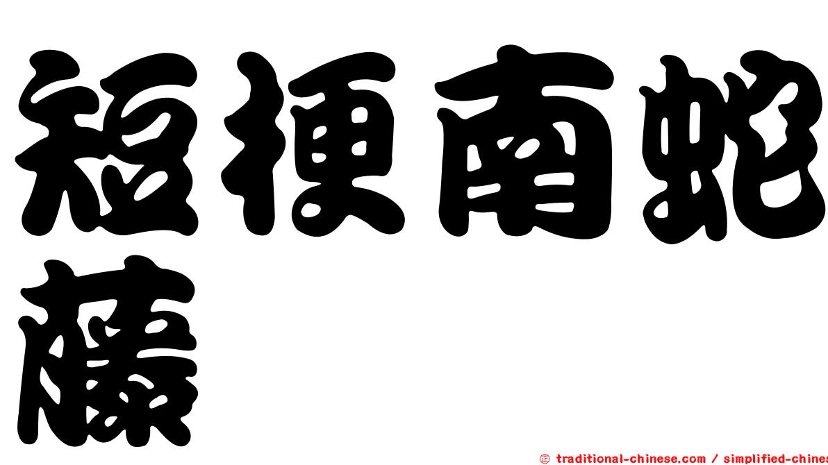 短梗南蛇藤