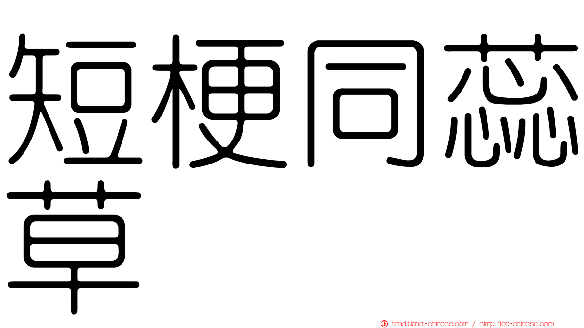 短梗同蕊草