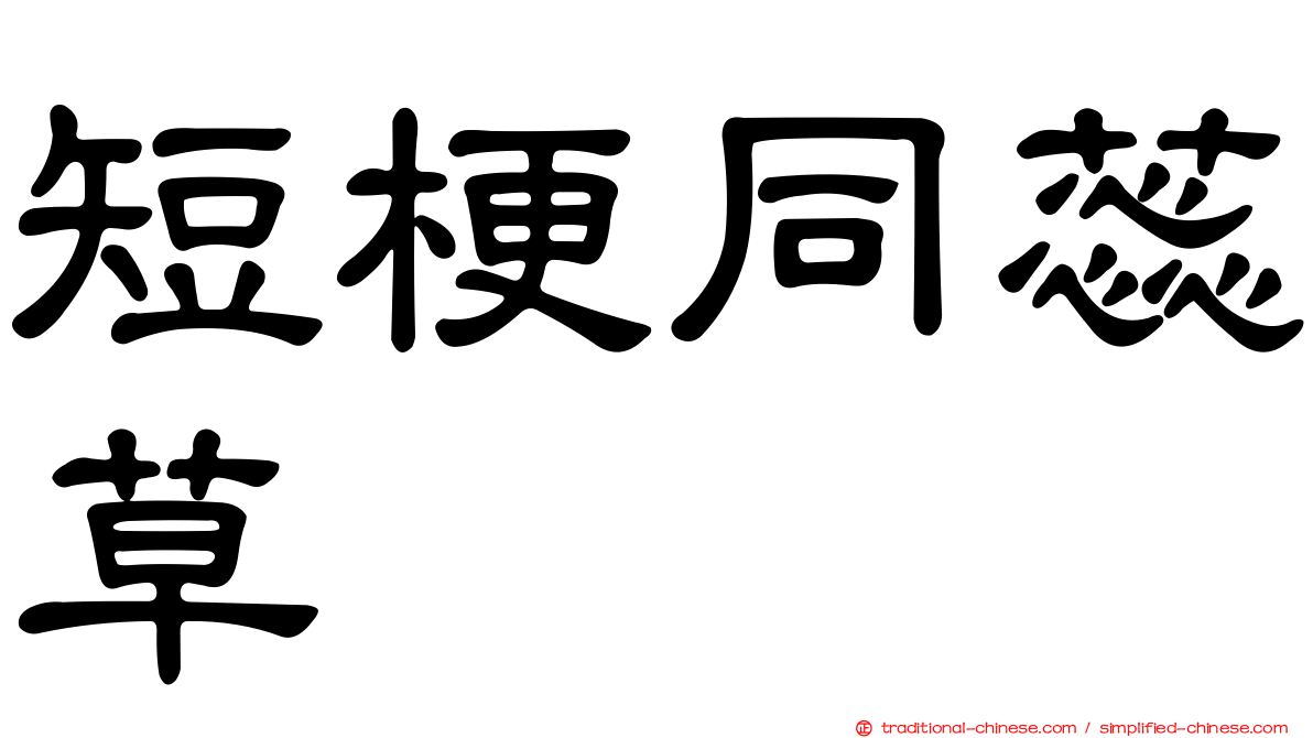 短梗同蕊草