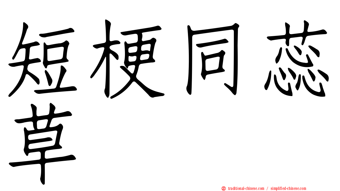 短梗同蕊草